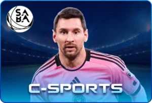 c-sport-300x204