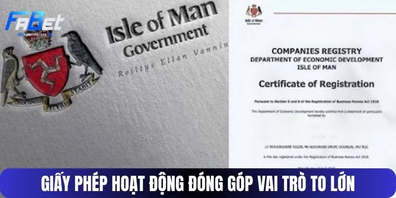 Giấy phép hoạt động đóng góp vai trò to lớn