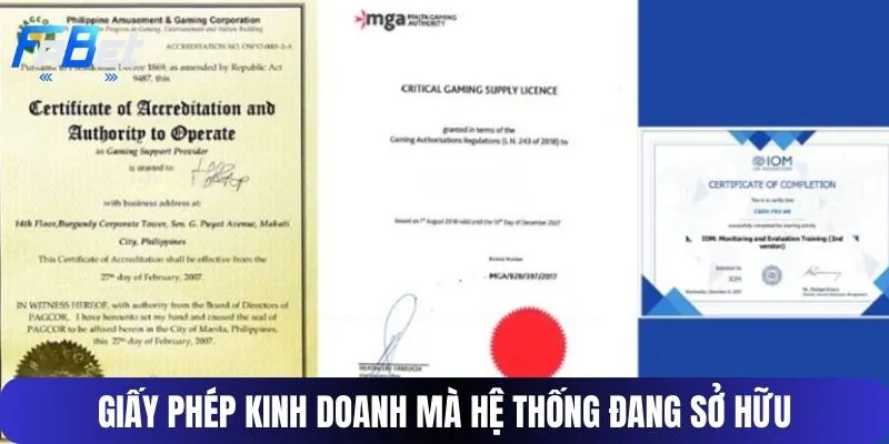 Giấy phép kinh doanh mà hệ thống đang sở hữu