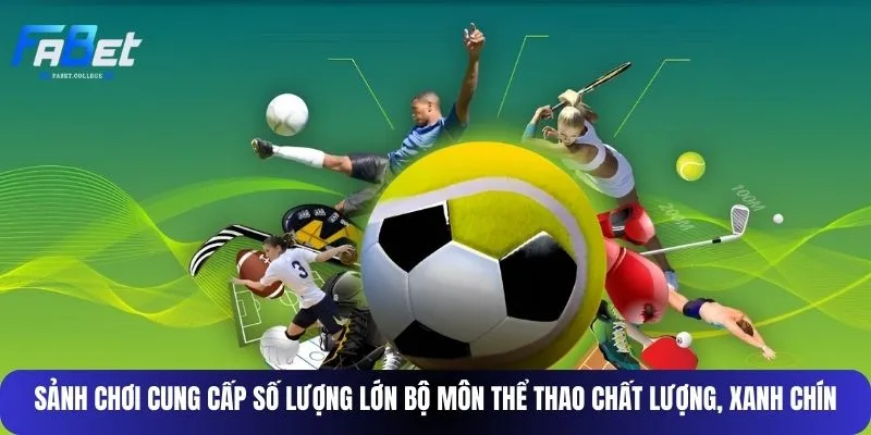 Sảnh chơi cung cấp số lượng lớn bộ môn thể thao chất lượng, xanh chín